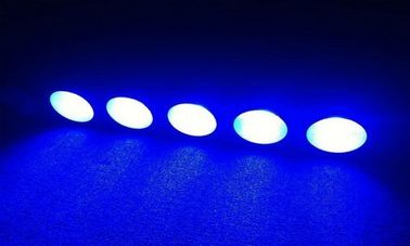 Magic Matrix led 5x10w/30w supplier